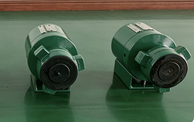 Dart Check Valve